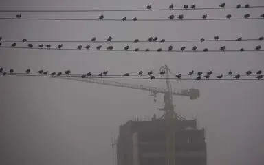 اهواز