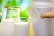 مصرف شیر گاو برای رفع وسواس و فراموشی
