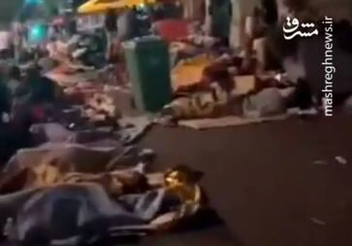 نمایی از واقعیت پاریس رؤیایی، مجلل و متمدن! + فیلم