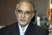 مصری: دولت تا پیش از تصویب یک قانون، اجازه اظهارنظر دارد
