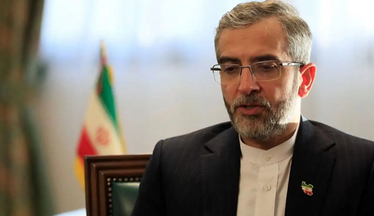  دیدار علی باقری با وزیر خارجه ترکیه