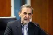 امنیت ملی ایران بدون امنیت و آرامش کشورهای همسایه امکان پذیر نخواهد بود