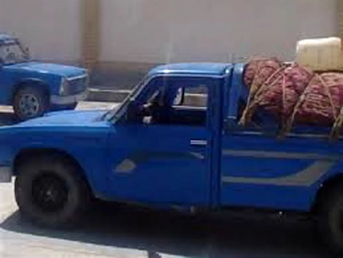 کشف پیاز زعفران قاچاق در سرایان