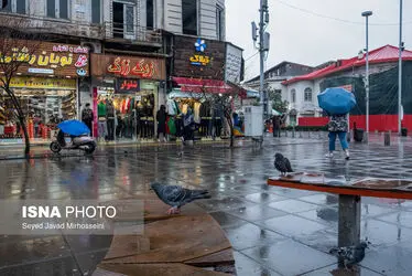 62883171_Javad-Mirhosseini-6435