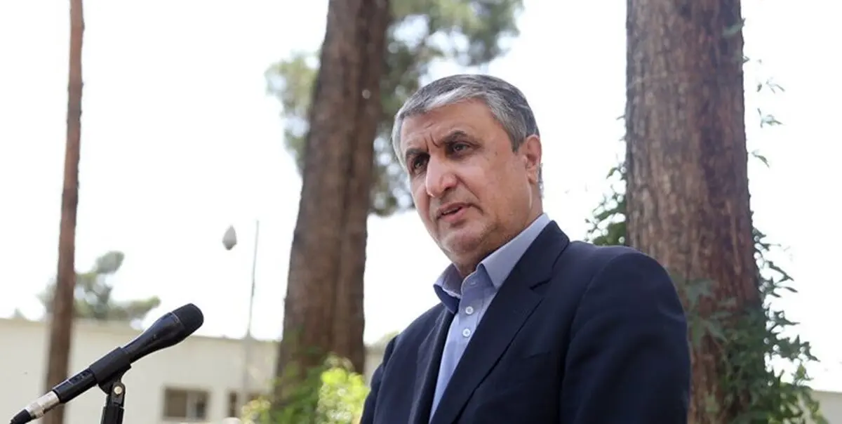 فاز دوم و سوم نیروگاه بوشهر در حال پیشرفت است