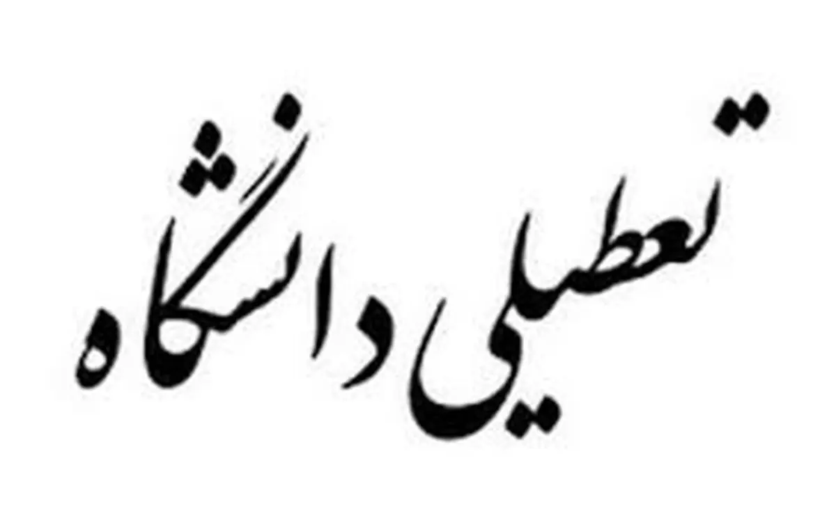 دانشگاهها در این ترم کلا تعطیل می شود؟
