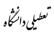 دانشگاهها در این ترم کلا تعطیل می شود؟