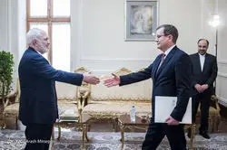 دیدار ظریف با سفیر جدید مجارستان