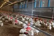 چرا شرایط تخصیص ارز واردات و توزیع نهاده شفاف نمی‌شود؟