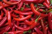 راهکار طلایی برای کاهش خطر مرگ زودرس