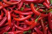 فلفل قرمز و سفید و سیاه چه تفاوتی دارند؟