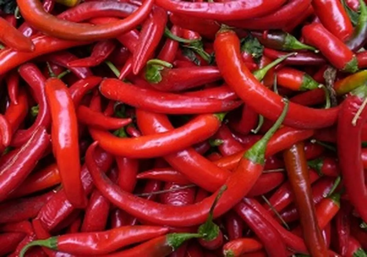 راهکار طلایی برای کاهش خطر مرگ زودرس