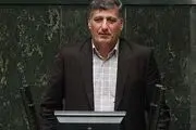 تیم اقتصادی دولت ضعیف عمل کرده است/دولت باید تیم اقتصادی خود را ترمیم کند