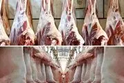 هشدار دامپزشکی سرخس در مورد بیماری تب کریمه کنگو