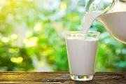 شیر‌های گیاهی جایگزین مناسب برای شیر لبنی است؟
