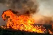 وقوع آتش سوزی در نزدیک شهر تل آویو+فیلم