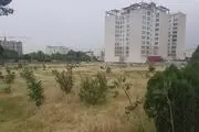 برخورد جدی با  ساخت و ساز‌های غیر مجاز در استان تهران