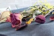 خشک کردن گل ها با ماکروویو