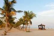 کیش مقصدی برای رهایی از آلودگی هوا؟
