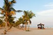 کیش مقصدی برای رهایی از آلودگی هوا؟
