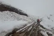 
جاده چالوس بسته شد
