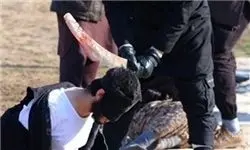 تصاویر هولناک از گردن زنی وحشیانه بدست داعش(18+) 