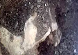 پیدا شدن جسد مرد ناشناس در معدن شن تنکابن
