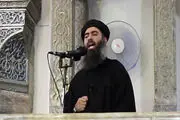 دستور جدید ابوبکر بغدادی به داعشی‌ها 