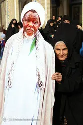 3918915_501