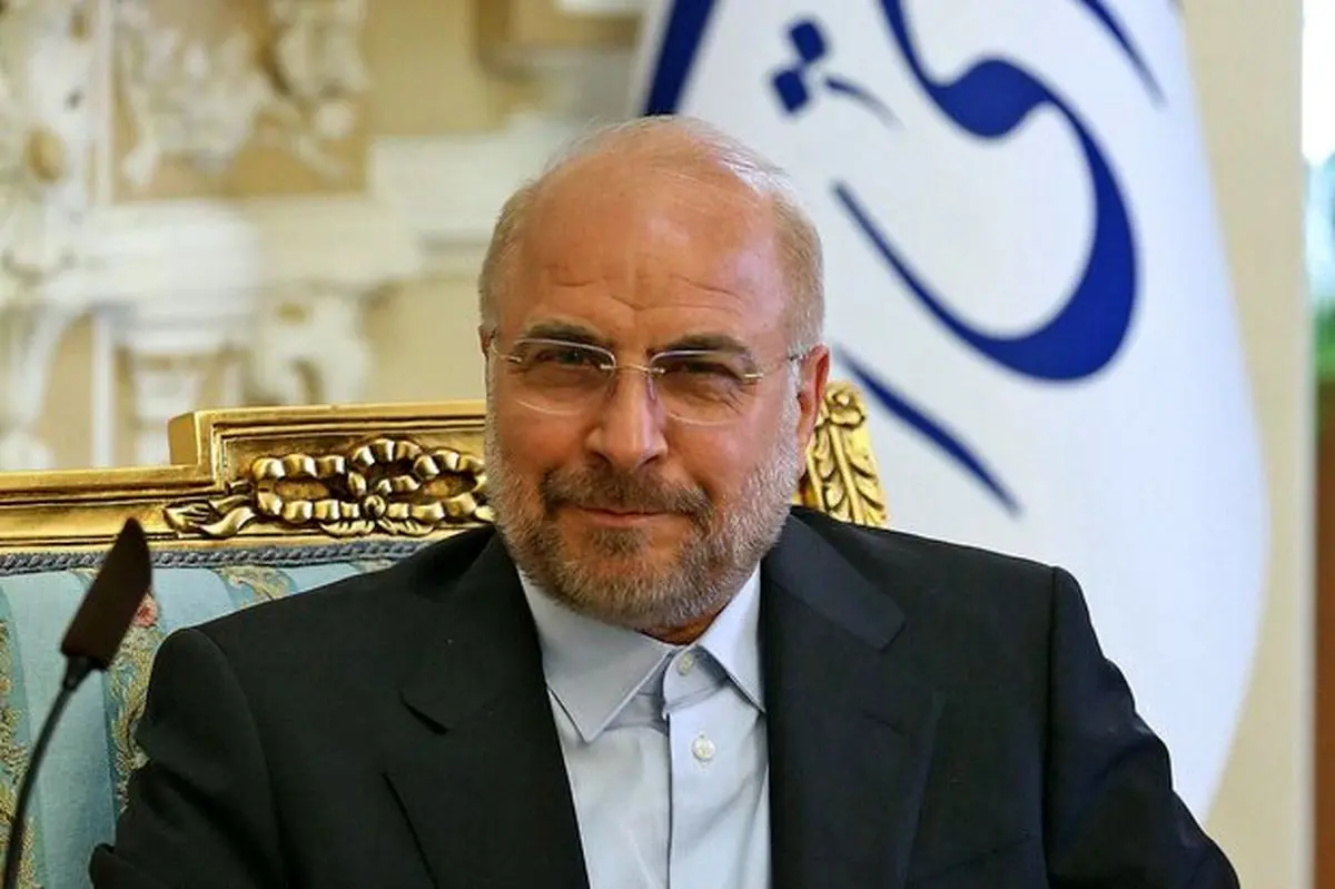 رایزنی رئیس دومای دولتی فدراسیون روسیه با رئیس مجلس