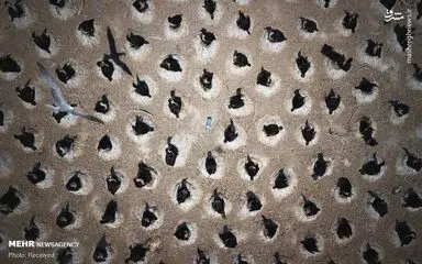 hxkhjNrPpZS1