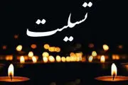 
سرمربی تیم ملی کشتی ایران عزادار شد
