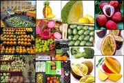 بازار میوه‌های خارجی از رونق افتاد