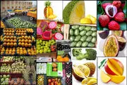 بازار میوه‌های خارجی از رونق افتاد