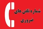 شماره های ضروری که باید یادتان باشد + اینفوگرافیک