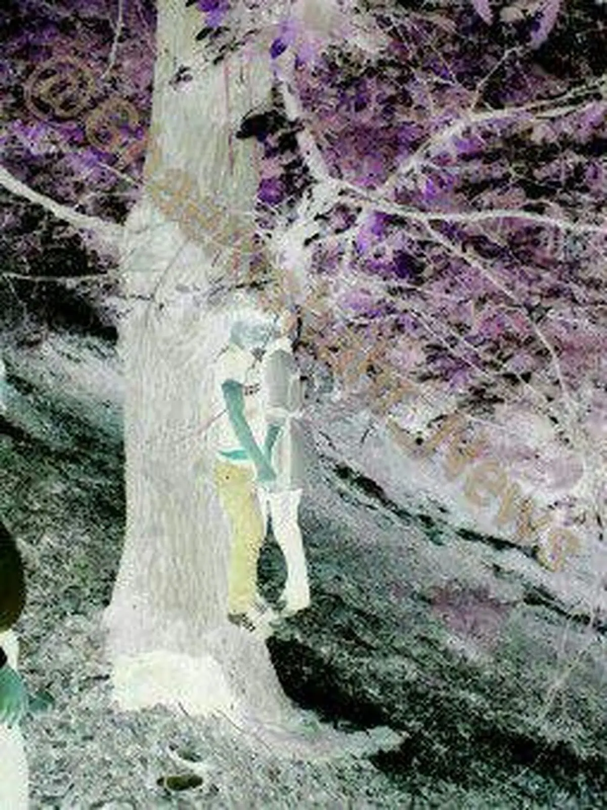 جزئیات خودکشی 2 جوان در کیاسر