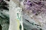 
جزئیات خودکشی 2 جوان در کیاسر

