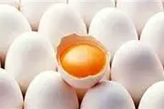 ۵۱ هزار تن تخم مرغ صادر شد
