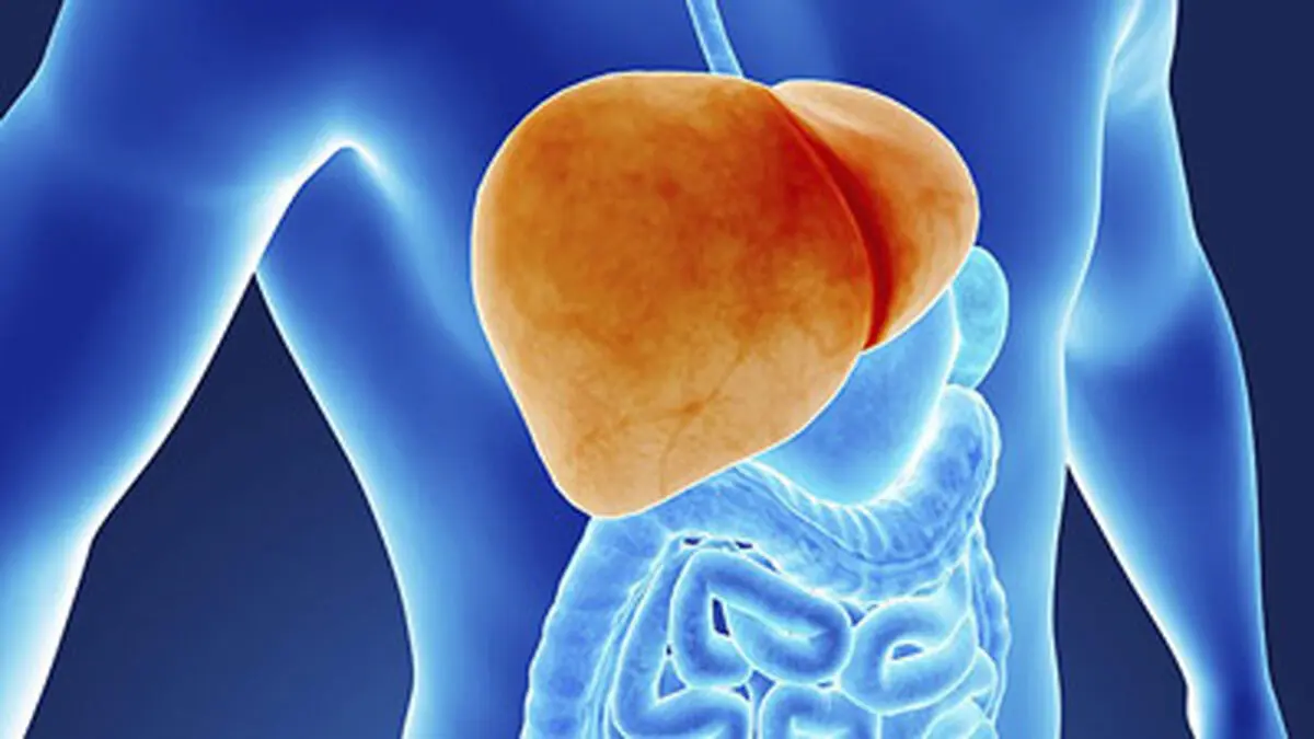  آیا روزه گرفتن برای کبد چرب خطرناک است؟ 