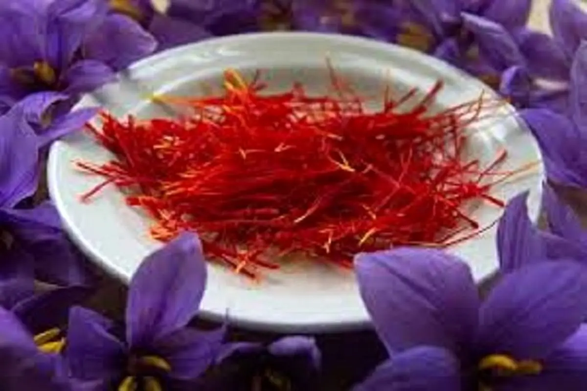 تاثیر گرانترین ادویه جهان در کاهش افسردگی