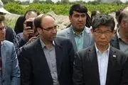 بازدید سفیر ژاپن و نماینده عمرانی سازمان ملل از طرح احیای دریاچه ارومیه در بناب