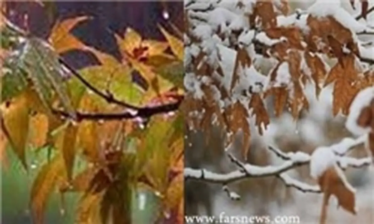 آسمان تهران فردا صاف است