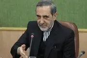 اولین اظهارات ولایتی درباره دانشگاه آزاد بعد از حکم رهبری