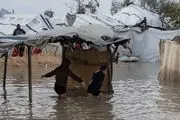 ۱۳ کودک در چادرهای غزه یخ زدند