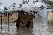 ۱۳ کودک در چادرهای غزه یخ زدند