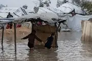 ۱۳ کودک در چادرهای غزه یخ زدند