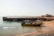  نگین سرخ ایران/ عکس
