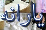 یارانه بهمن ماه افراد فاقد کارت ملی قطع می‌شود