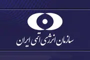 شرکت‌کنندگان در اجلاس اوآنا از سازمان انرژی اتمی ایران بازدید کردند