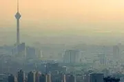 خوراکی‌های مفید برای آلودگی هوا